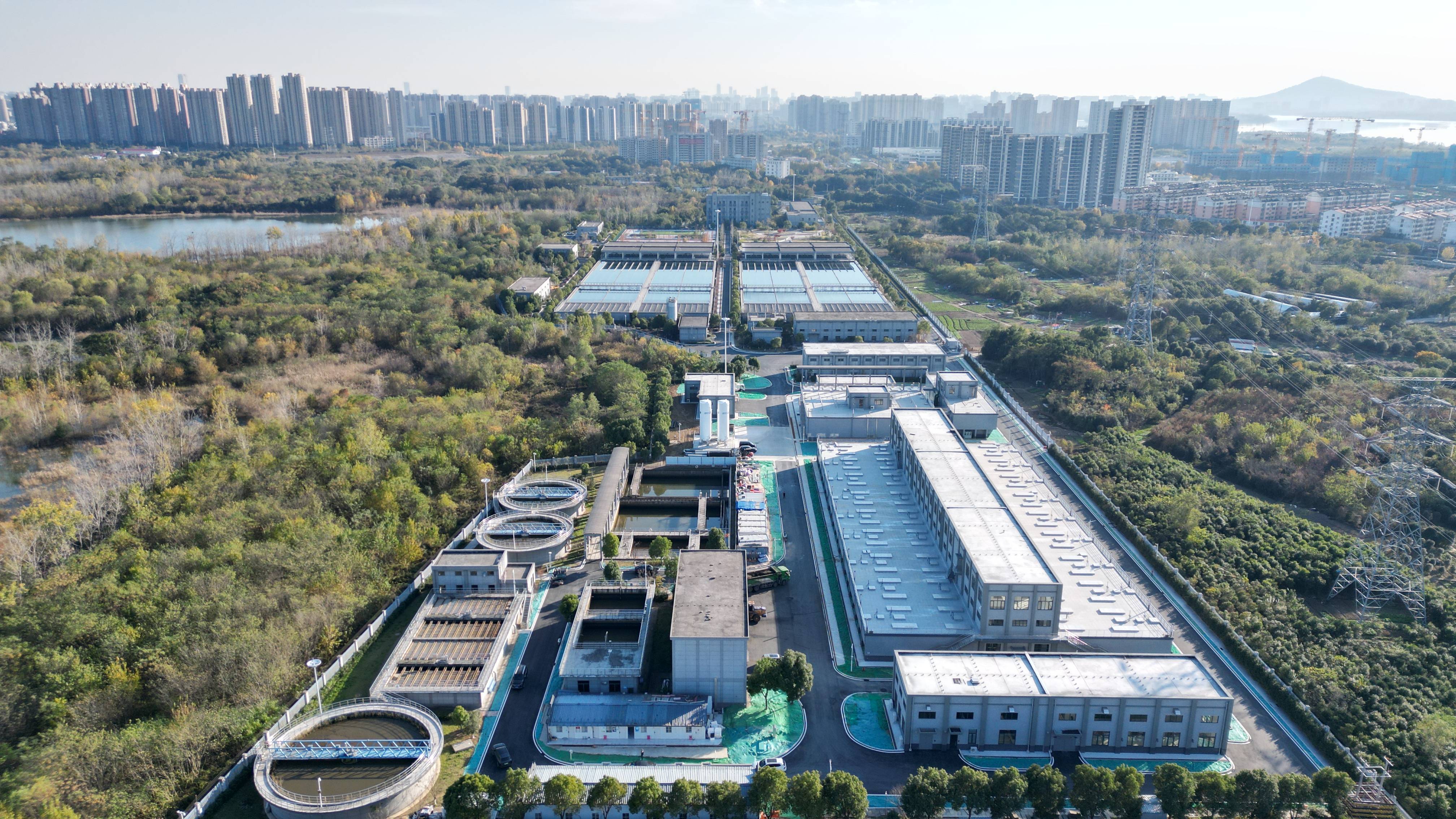 商洛市合肥专业企业价值增长(合肥市重点企业产业目录)