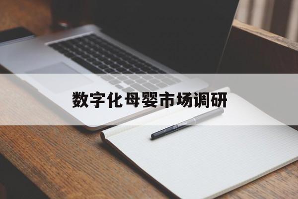 商洛市数字化母婴市场调研(数字化母婴市场调研报告)